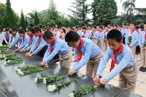 图片1